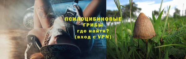 винт Осташков
