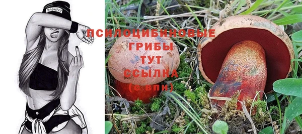винт Осташков