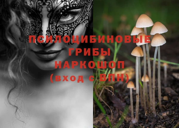 бутират Осинники