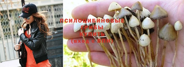 бутират Осинники