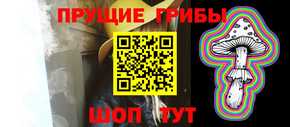 купить   Галлюциногенные грибы мицелий  Вход с VPN  Солнечногорск 
