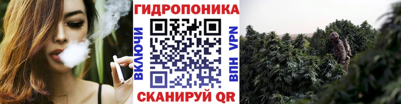 магазин  наркотиков  Солнечногорск  мега ССЫЛКА  Бошки Шишки OG Kush 